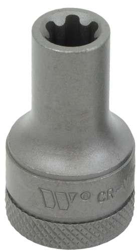 WELZH WERKZEUG 3/8" Kraftbits Torx Plus Hona 10EP