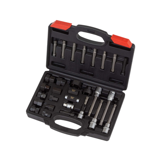 WELZH WERKZEUG Generator Remskiva Set 30 delar