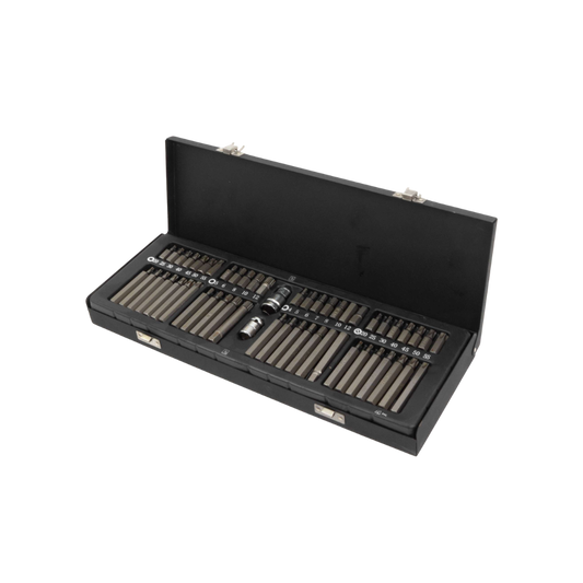 WELZH WERKZEUG 54 delars Torx Spline Hex och Tamper Torx-Set